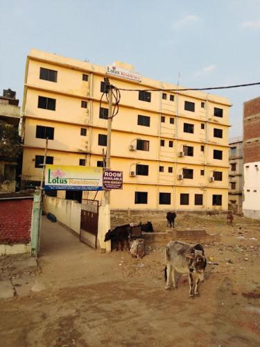 Lotus Residency Bodh Gaya Exterior foto